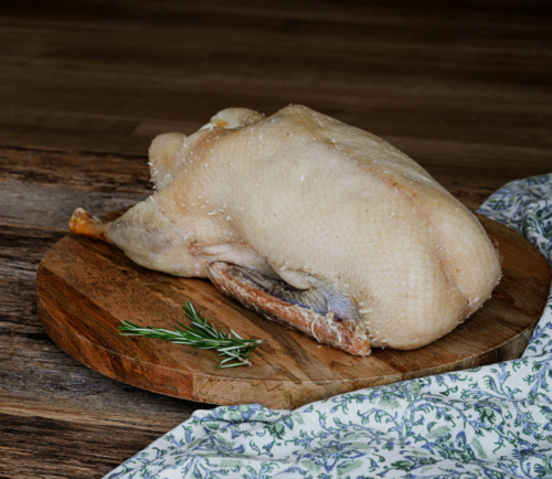 Free Range Goose